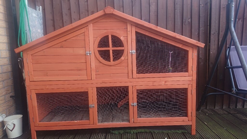 foxglove rabbit hutch